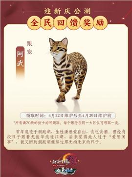 天龙八部私服key过期